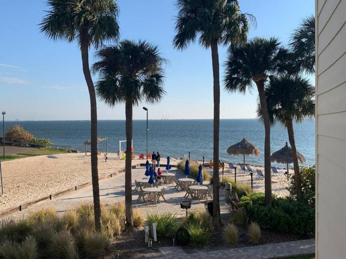 Bay Views From Your Balcony Beach Resort Tampa Buitenkant foto